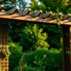 diy garden trellis