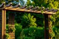 diy garden trellis
